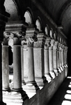 Abbaye de Sénanque - Cloître