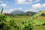 Landschaft bei Gampola